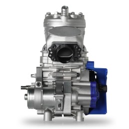 Moteur IAME S125 (Cat. Junior, Senior)