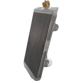Radiateur GOLD AF390 400 x 200 mm STANDARD