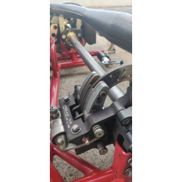 Châssis Birel Mini S12 2022 + Moteur IAME Gazelle 60 révisé